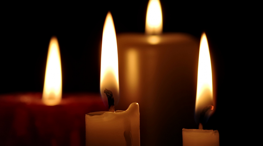 Mozart disembark in the village of Ericeira this weekend!